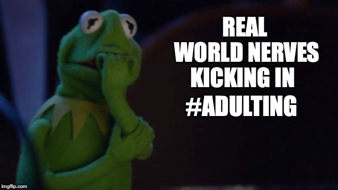 Nervous Kermit | REAL WORLD NERVES KICKING IN; #ADULTING | image tagged in nervous kermit | made w/ Imgflip meme maker