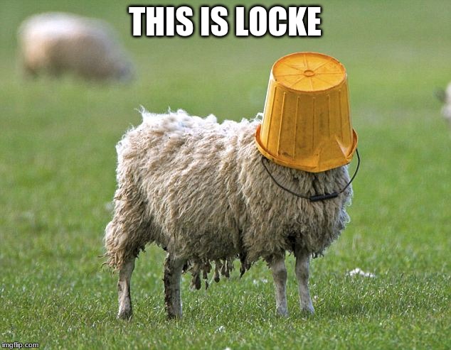 stupid sheep | THIS IS LOCKE | image tagged in stupid sheep | made w/ Imgflip meme maker