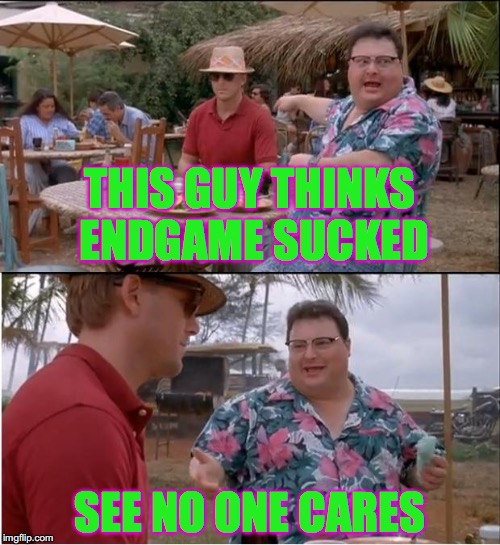 See Nobody Cares | THIS GUY THINKS ENDGAME SUCKED; SEE NO ONE CARES | image tagged in memes,see nobody cares | made w/ Imgflip meme maker