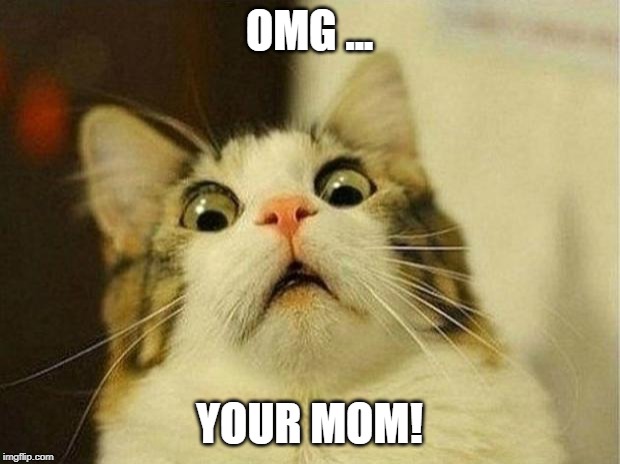 Scared Cat | OMG ... YOUR MOM! | image tagged in memes,scared cat | made w/ Imgflip meme maker