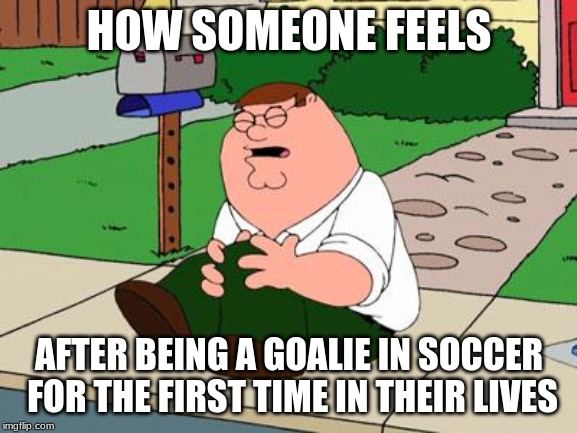 Family Guy Knee | HOW SOMEONE FEELS; AFTER BEING A GOALIE IN SOCCER FOR THE FIRST TIME IN THEIR LIVES | image tagged in family guy knee | made w/ Imgflip meme maker