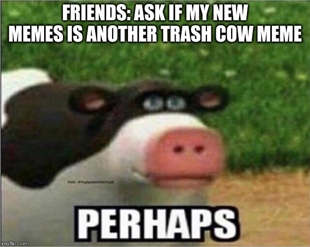 you have been bamboozled | FRIENDS: ASK IF MY NEW MEMES IS ANOTHER TRASH COW MEME | image tagged in perhaps cow,memes,dank memes | made w/ Imgflip meme maker