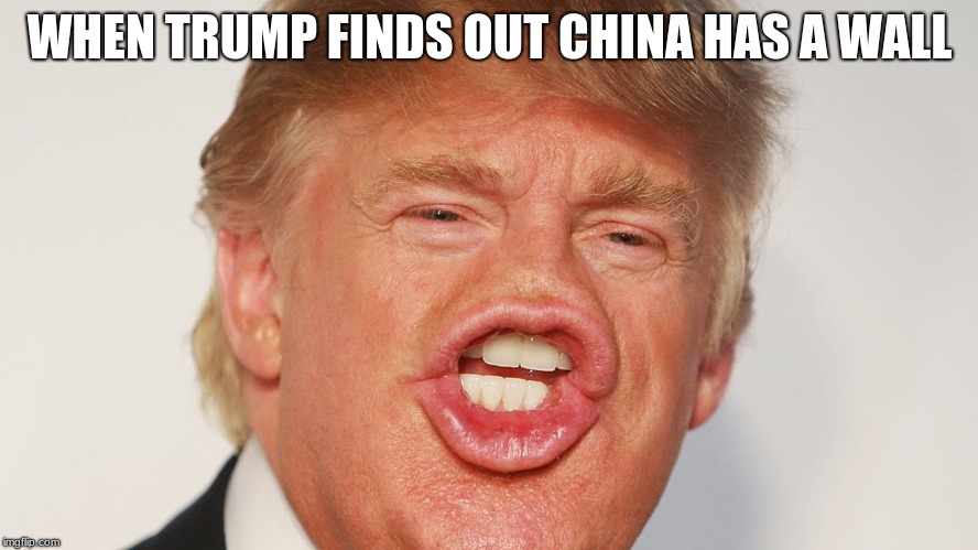 Donald Trump China | WHEN TRUMP FINDS OUT CHINA HAS A WALL | image tagged in donald trump china | made w/ Imgflip meme maker