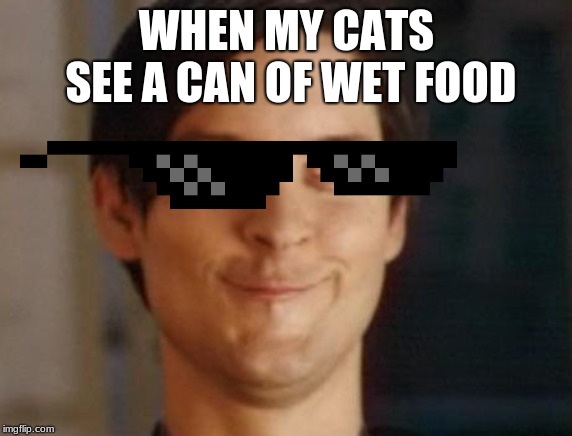 Spiderman Peter Parker | WHEN MY CATS SEE A CAN OF WET FOOD | image tagged in memes,spiderman peter parker | made w/ Imgflip meme maker