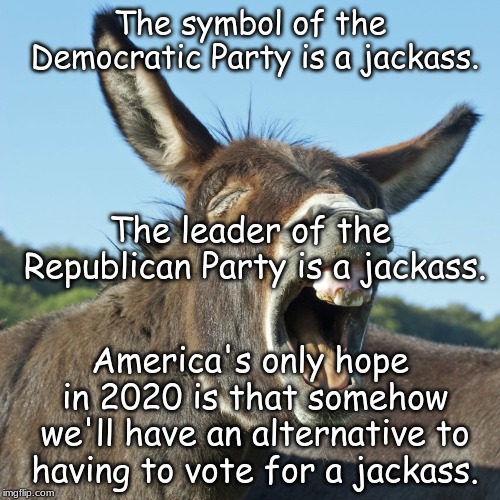 screaming donkey | The symbol of the Democratic Party is a jackass. The leader of the Republican Party is a jackass. America's only hope in 2020 is that somehow we'll have an alternative to having to vote for a jackass. | image tagged in screaming donkey | made w/ Imgflip meme maker