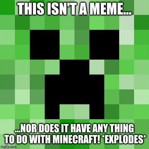 Scumbag Minecraft Meme | THIS ISN'T A MEME... ...NOR DOES IT HAVE ANY THING TO DO WITH MINECRAFT! *EXPLODES* | image tagged in memes,scumbag minecraft | made w/ Imgflip meme maker