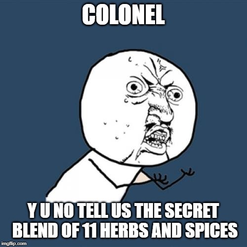 Y U No Meme | COLONEL Y U NO TELL US THE SECRET BLEND OF 11 HERBS AND SPICES | image tagged in memes,y u no | made w/ Imgflip meme maker