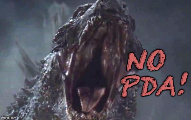 NO PDA! | image tagged in godzilla,angry | made w/ Imgflip meme maker