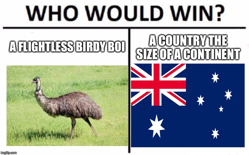 Who Would Win? Meme | A FLIGHTLESS BIRDY BOI; A COUNTRY THE SIZE OF A CONTINENT | image tagged in memes,who would win | made w/ Imgflip meme maker