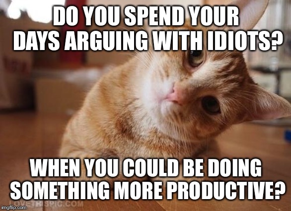 Curious Question Cat | DO YOU SPEND YOUR DAYS ARGUING WITH IDIOTS? WHEN YOU COULD BE DOING SOMETHING MORE PRODUCTIVE? | image tagged in curious question cat | made w/ Imgflip meme maker