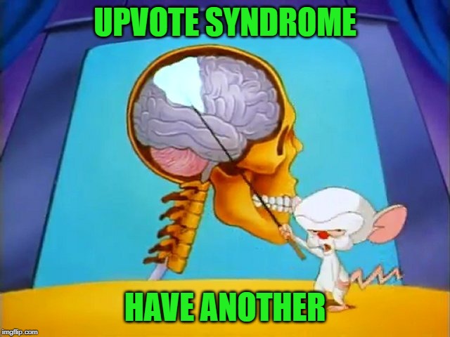 the brain | UPVOTE SYNDROME HAVE ANOTHER | image tagged in the brain | made w/ Imgflip meme maker