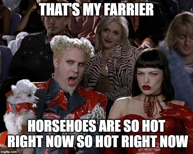 Mugatu So Hot Right Now Meme | THAT'S MY FARRIER; HORSEHOES ARE SO HOT RIGHT NOW SO HOT RIGHT NOW | image tagged in memes,mugatu so hot right now | made w/ Imgflip meme maker