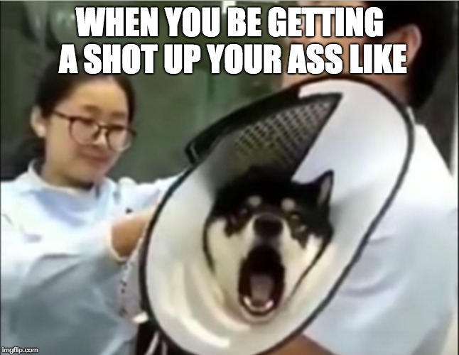 Shot in Ass | WHEN YOU BE GETTING A SHOT UP YOUR ASS LIKE | image tagged in doctors | made w/ Imgflip meme maker
