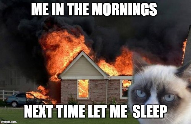 Burn Kitty Meme | ME IN THE MORNINGS; NEXT TIME LET ME 
SLEEP | image tagged in memes,burn kitty,grumpy cat | made w/ Imgflip meme maker