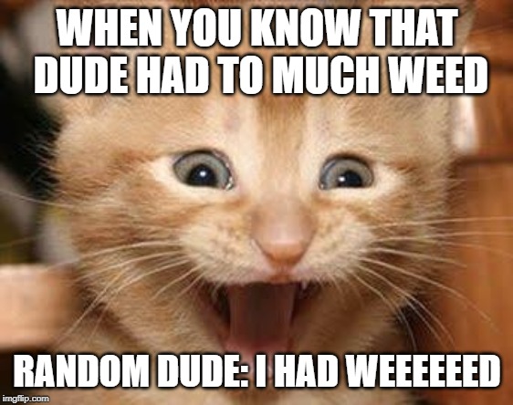 Excited Cat Meme | WHEN YOU KNOW THAT DUDE HAD TO MUCH WEED; RANDOM DUDE: I HAD WEEEEEED | image tagged in memes,excited cat | made w/ Imgflip meme maker