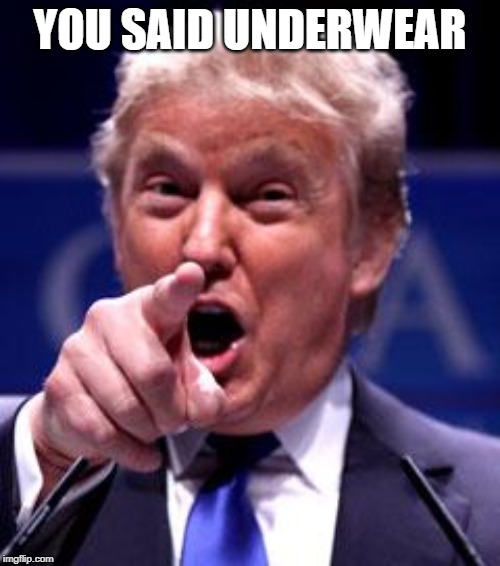 Trump Trademark | YOU SAID UNDERWEAR | image tagged in trump trademark | made w/ Imgflip meme maker