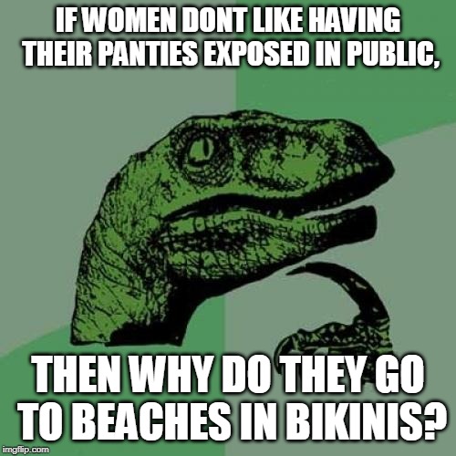 Philosoraptor Meme | IF WOMEN DONT LIKE HAVING THEIR PANTIES EXPOSED IN PUBLIC, THEN WHY DO THEY GO TO BEACHES IN BIKINIS? | image tagged in memes,philosoraptor | made w/ Imgflip meme maker