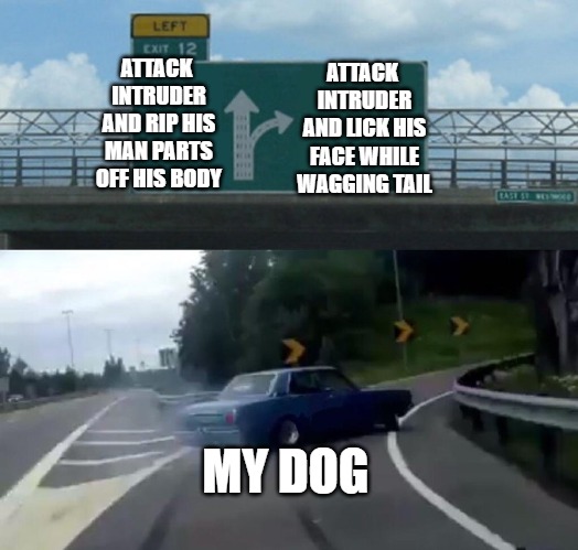Left Exit 12 Off Ramp | ATTACK INTRUDER AND LICK HIS FACE WHILE WAGGING TAIL; ATTACK INTRUDER AND RIP HIS MAN PARTS OFF HIS BODY; MY DOG | image tagged in memes,left exit 12 off ramp | made w/ Imgflip meme maker