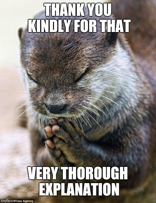 Thank you Lord Otter | THANK YOU KINDLY FOR THAT VERY THOROUGH EXPLANATION | image tagged in thank you lord otter | made w/ Imgflip meme maker