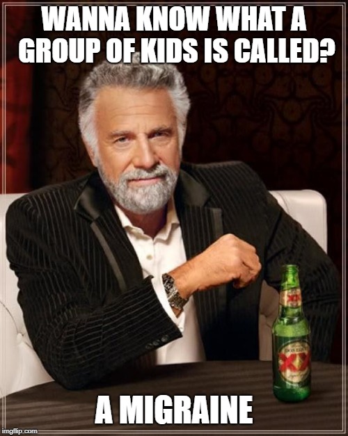 Kids=DEATH | WANNA KNOW WHAT A GROUP OF KIDS IS CALLED? A MIGRAINE | image tagged in memes,the most interesting man in the world | made w/ Imgflip meme maker