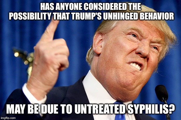 I'm not saying it is, mind you... | HAS ANYONE CONSIDERED THE POSSIBILITY THAT TRUMP'S UNHINGED BEHAVIOR; MAY BE DUE TO UNTREATED SYPHILIS? | image tagged in donald trump | made w/ Imgflip meme maker