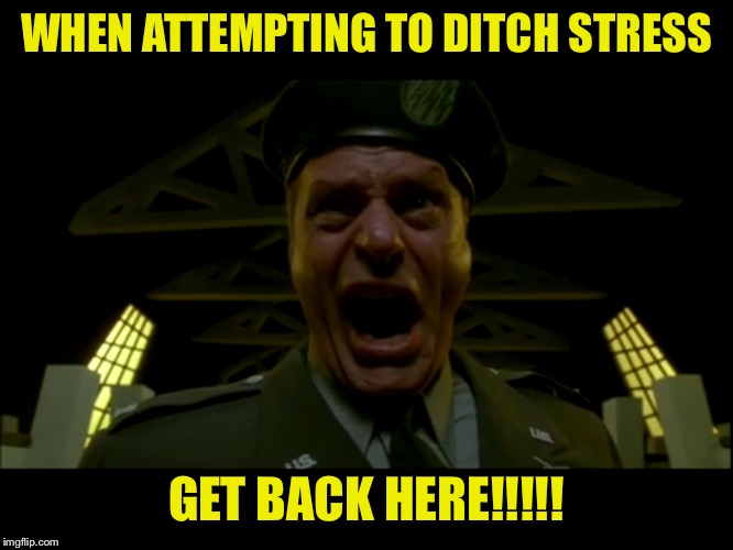 Colonel oaks, no way | WHEN ATTEMPTING TO DITCH STRESS; GET BACK HERE!!!!! | image tagged in stress,random,moist but not wet,ittttttsssss baaacoooonnnnn | made w/ Imgflip meme maker