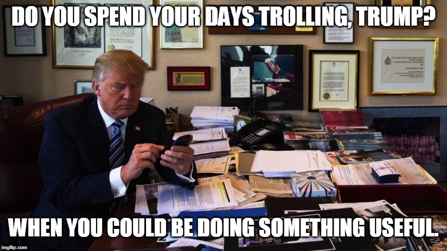 DO YOU SPEND YOUR DAYS TROLLING, TRUMP? WHEN YOU COULD BE DOING SOMETHING USEFUL. | made w/ Imgflip meme maker