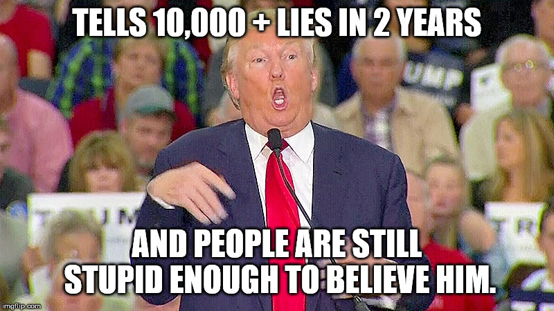 Trump Mocks Reporter | TELLS 10,000 + LIES IN 2 YEARS; AND PEOPLE ARE STILL STUPID ENOUGH TO BELIEVE HIM. | image tagged in trump mocks reporter | made w/ Imgflip meme maker