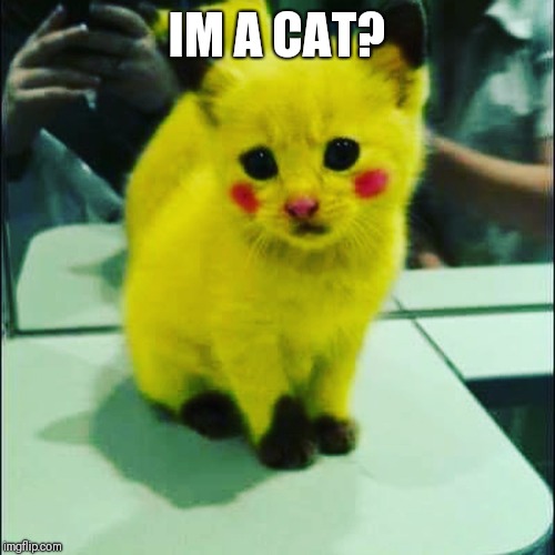 Pika cat | IM A CAT? | image tagged in pika cat | made w/ Imgflip meme maker
