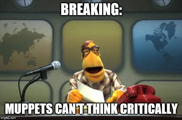 Muppet News Flash | BREAKING: MUPPETS CAN'T THINK CRITICALLY | image tagged in muppet news flash | made w/ Imgflip meme maker