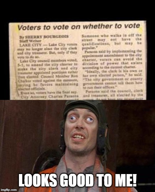 I vote that this vote is voted on! | LOOKS GOOD TO ME! | image tagged in looks good to me | made w/ Imgflip meme maker
