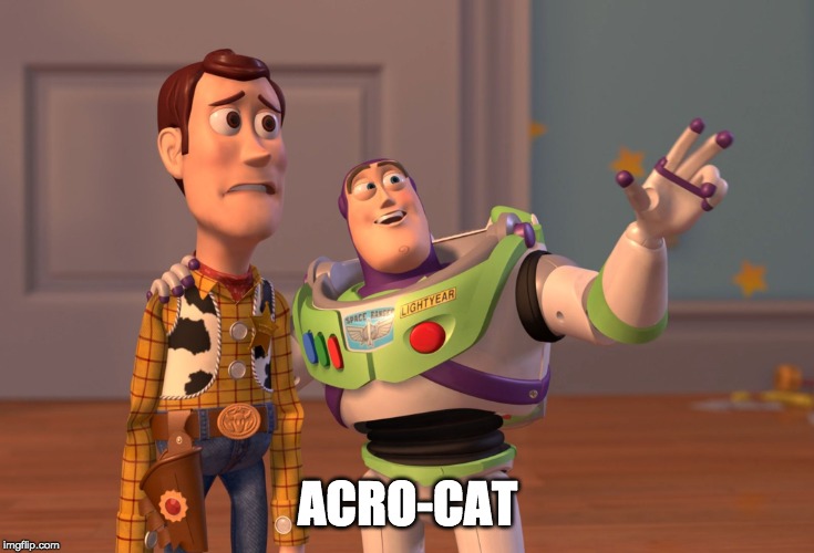 ACRO-CAT | image tagged in memes,x x everywhere | made w/ Imgflip meme maker