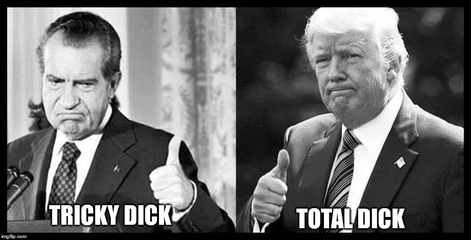 The Dicks | TOTAL DICK; TRICKY DICK | image tagged in trump,nixon,dicks | made w/ Imgflip meme maker