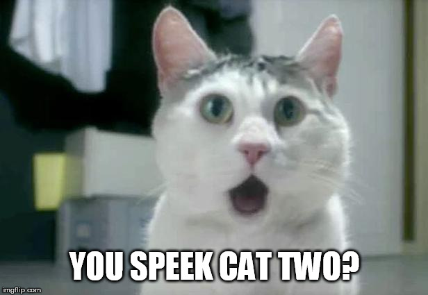OMG Cat Meme | YOU SPEEK CAT TWO? | image tagged in memes,omg cat | made w/ Imgflip meme maker