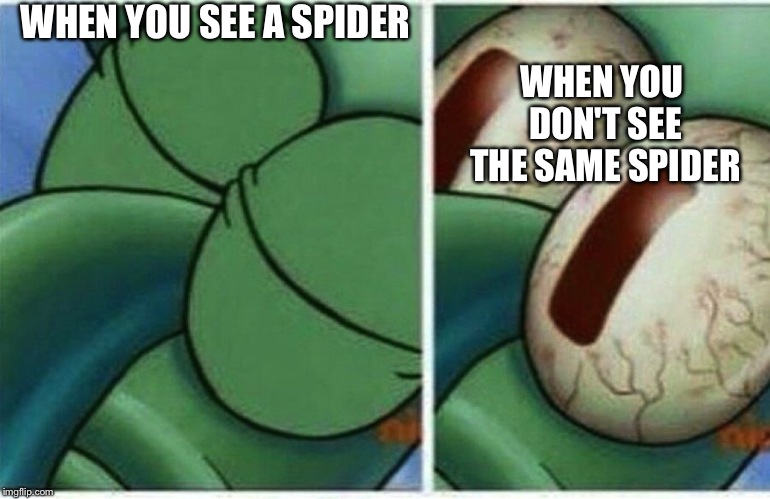 Spongebob week April 29-May 5 an EGOS production | WHEN YOU SEE A SPIDER; WHEN YOU DON'T SEE THE SAME SPIDER | image tagged in squidward | made w/ Imgflip meme maker