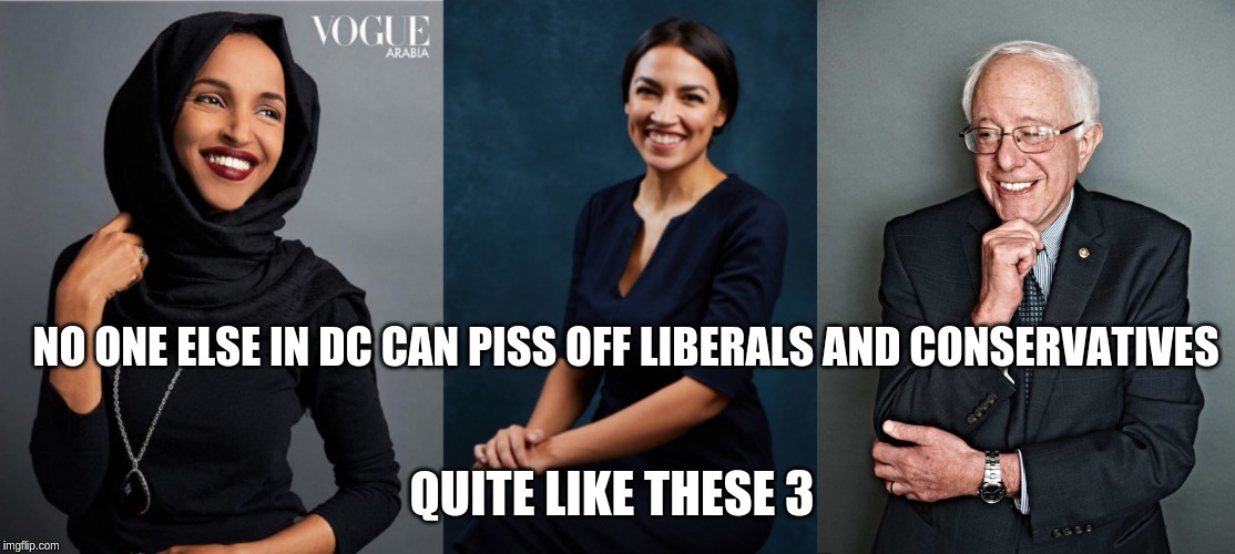trumtards are still liberals | NO ONE ELSE IN DC CAN PISS OFF LIBERALS AND CONSERVATIVES; QUITE LIKE THESE 3 | image tagged in aoc,bernie sanders | made w/ Imgflip meme maker