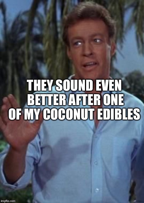 Professor hey dont be so formal | THEY SOUND EVEN BETTER AFTER ONE OF MY COCONUT EDIBLES | image tagged in professor hey dont be so formal | made w/ Imgflip meme maker