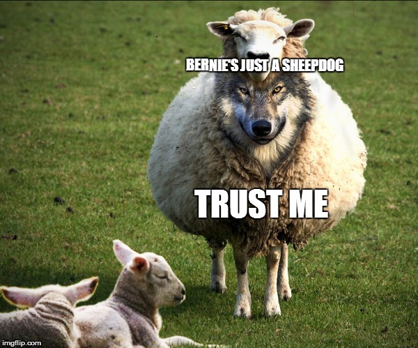 Wolf in sheep's clothing |  BERNIE'S JUST A SHEEPDOG; TRUST ME | image tagged in wolf in sheep's clothing | made w/ Imgflip meme maker