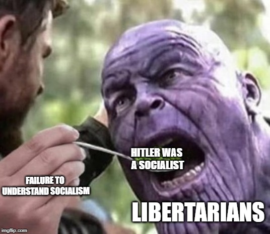 HITLER WAS A SOCIALIST; FAILURE TO UNDERSTAND SOCIALISM; LIBERTARIANS | image tagged in libertarian | made w/ Imgflip meme maker