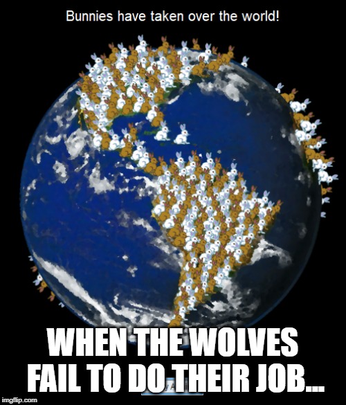 WHEN THE WOLVES FAIL TO DO THEIR JOB... | image tagged in memes | made w/ Imgflip meme maker