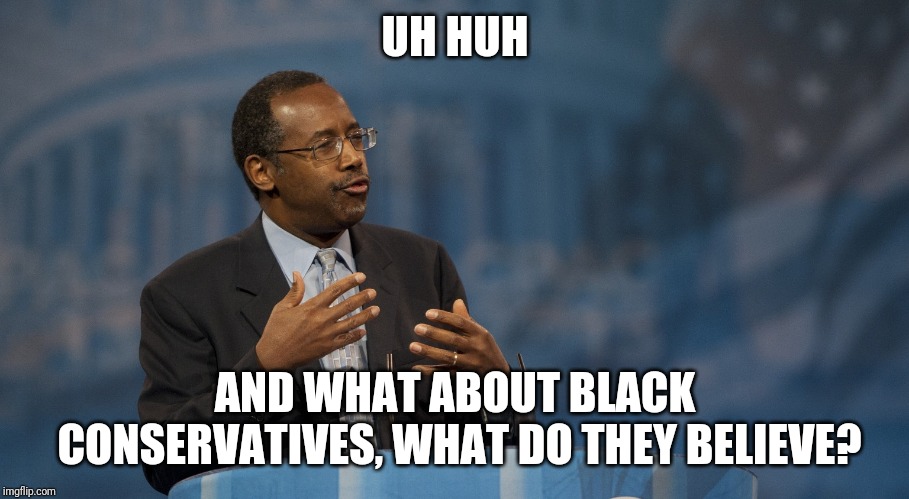 Ben Carson Hands | UH HUH AND WHAT ABOUT BLACK CONSERVATIVES, WHAT DO THEY BELIEVE? | image tagged in ben carson hands | made w/ Imgflip meme maker