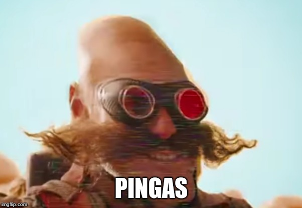 Pingas 2019 | PINGAS | image tagged in pingas 2019 | made w/ Imgflip meme maker