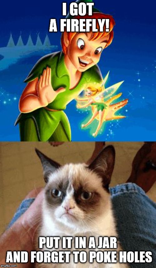 Grumpy Cat Does Not Believe | I GOT A FIREFLY! PUT IT IN A JAR AND FORGET TO POKE HOLES | image tagged in memes,grumpy cat does not believe,grumpy cat | made w/ Imgflip meme maker