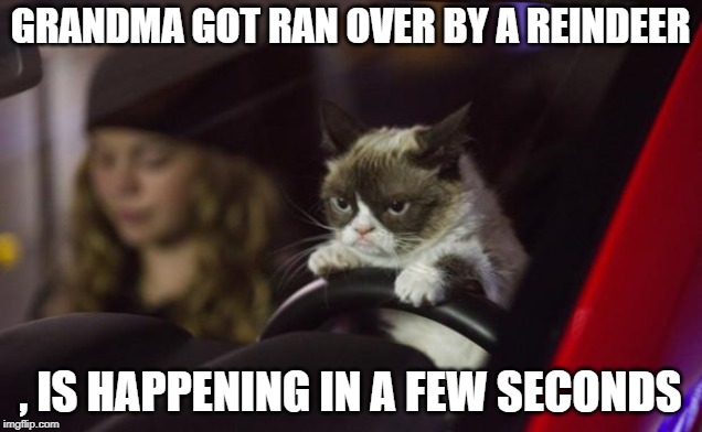 Grumpy Cat Driving | GRANDMA GOT RAN OVER BY A REINDEER; , IS HAPPENING IN A FEW SECONDS | image tagged in grumpy cat driving | made w/ Imgflip meme maker