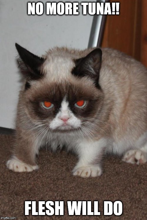 Grumpy Cat red eyes | NO MORE TUNA!! FLESH WILL DO | image tagged in grumpy cat red eyes | made w/ Imgflip meme maker