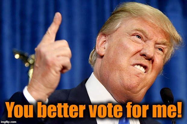 Donald Trump | You better vote for me! | image tagged in donald trump | made w/ Imgflip meme maker