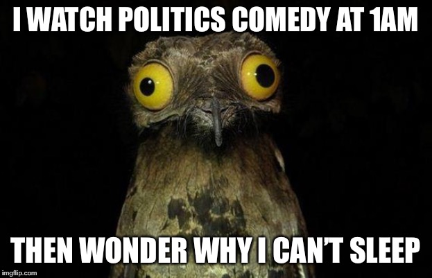 Weird Stuff I Do Potoo | I WATCH POLITICS COMEDY AT 1AM; THEN WONDER WHY I CAN’T SLEEP | image tagged in memes,weird stuff i do potoo | made w/ Imgflip meme maker