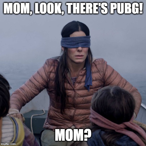 Bird Box | MOM, LOOK, THERE'S PUBG! MOM? | image tagged in memes,bird box | made w/ Imgflip meme maker
