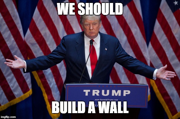 Donald Trump | WE SHOULD; BUILD A WALL | image tagged in donald trump | made w/ Imgflip meme maker