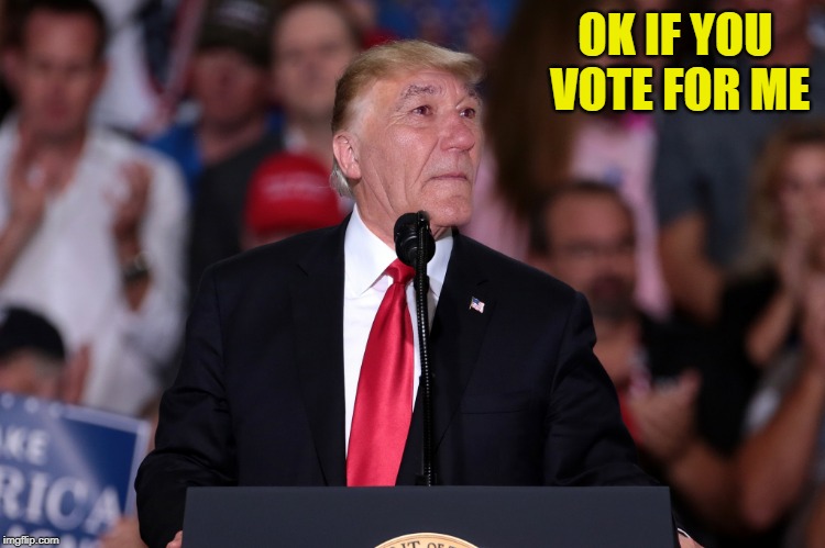 OK IF YOU VOTE FOR ME | made w/ Imgflip meme maker